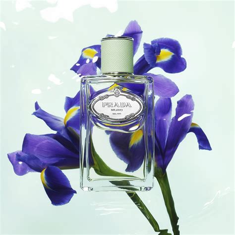 perfume prada iris feminino|Prada iris perfume sephora.